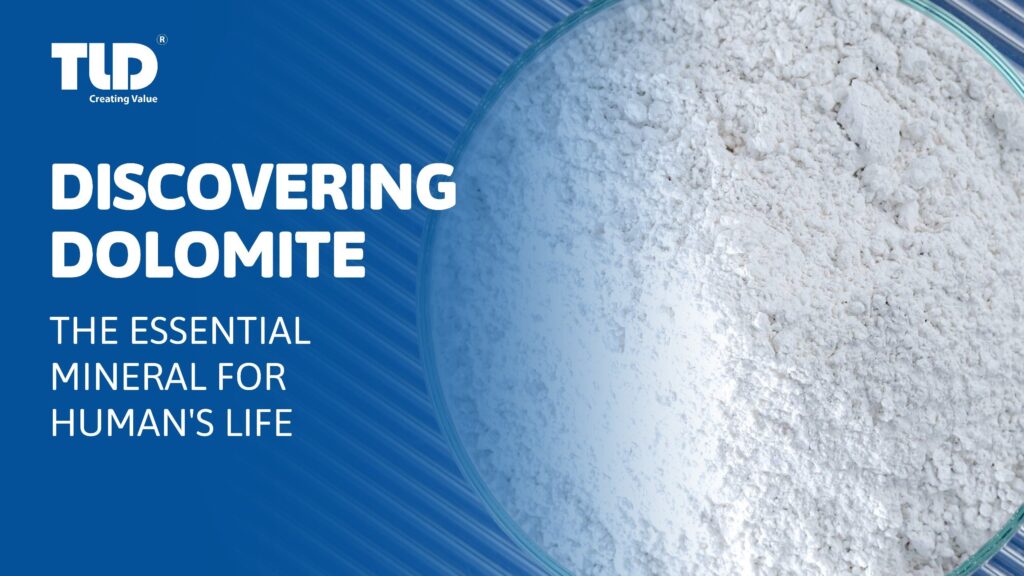 An insight into the word of dolomite