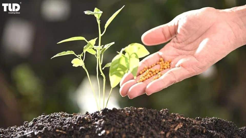 kaolin-fertilizer-a-brilliant-element-in-agriculture