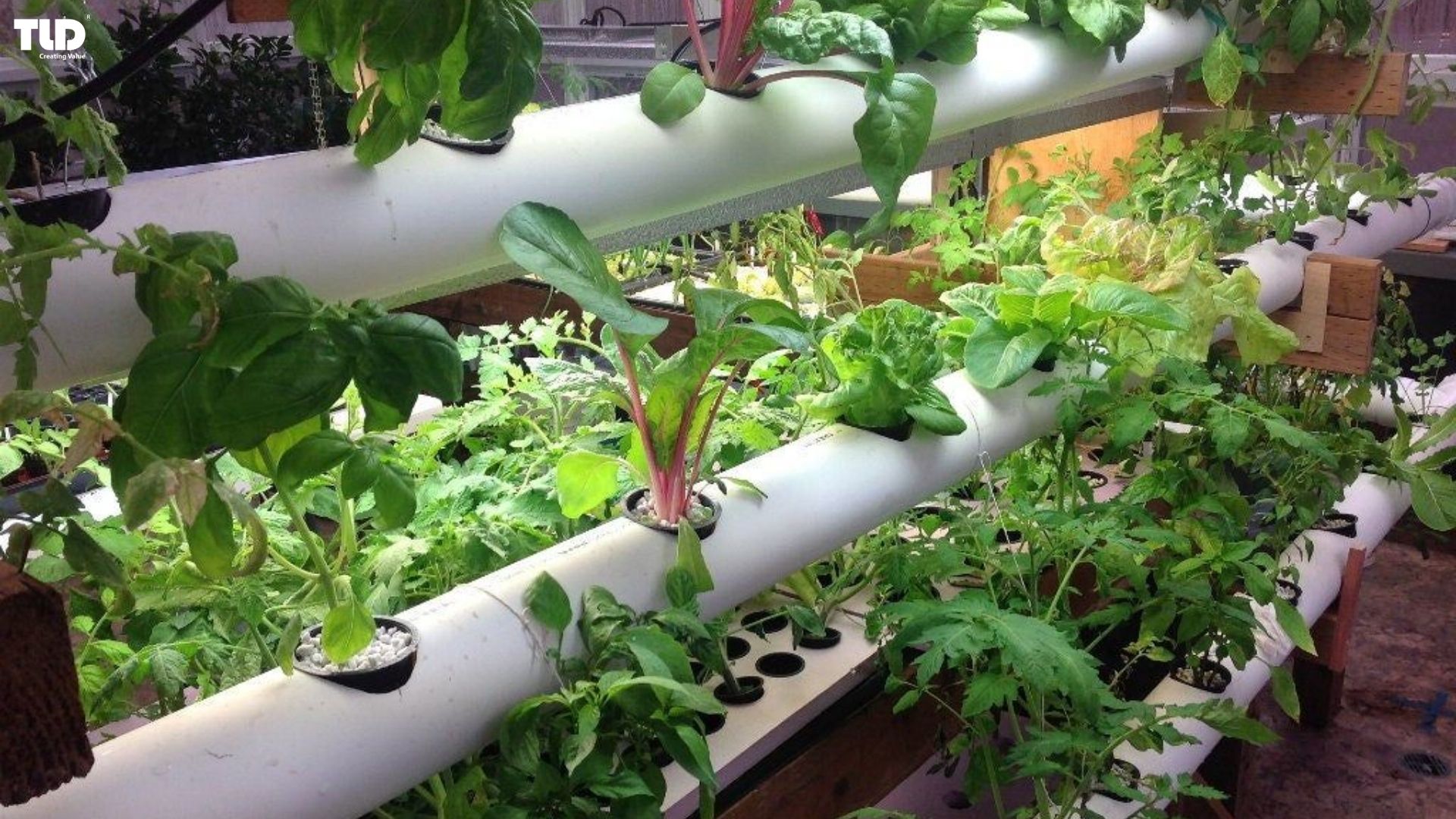 Implementing PVC  garden pipes in Home Gardening