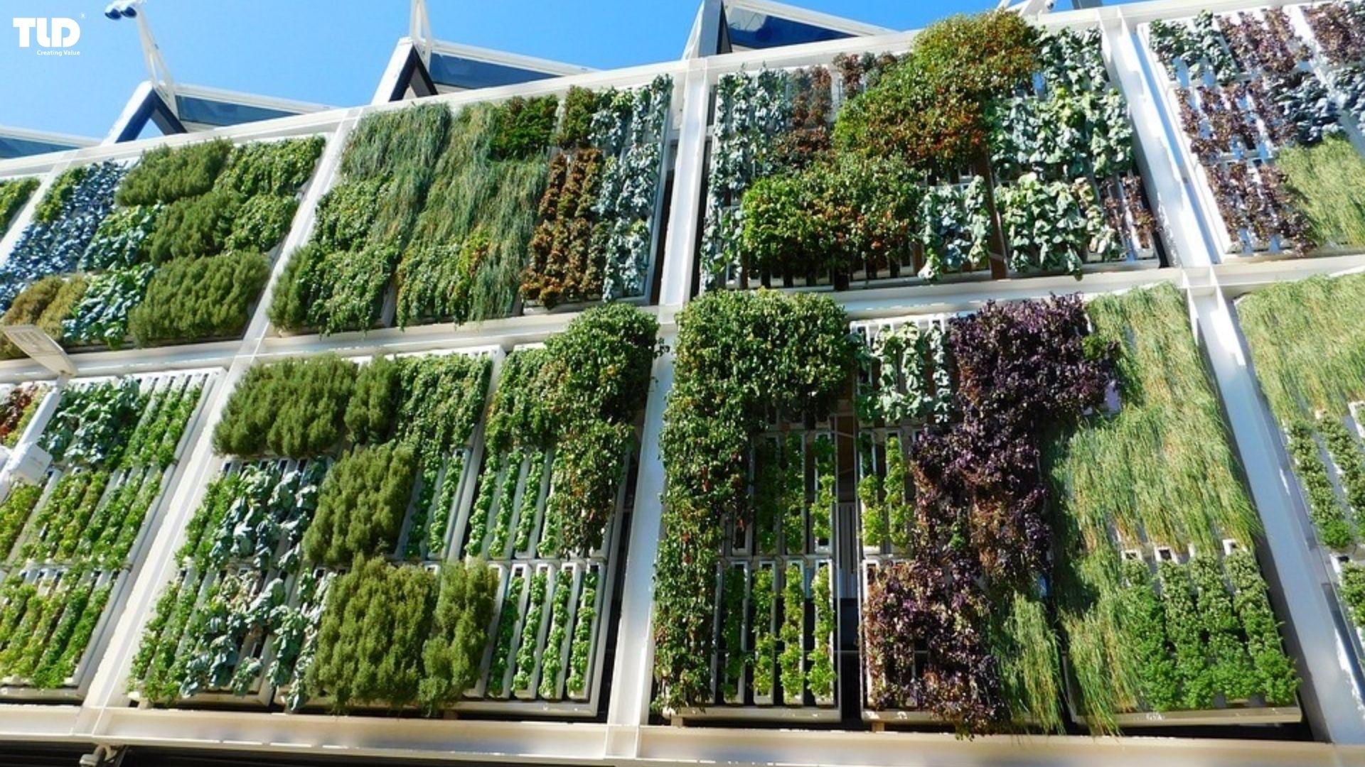 Creating Vertical and Horizontal Gardens