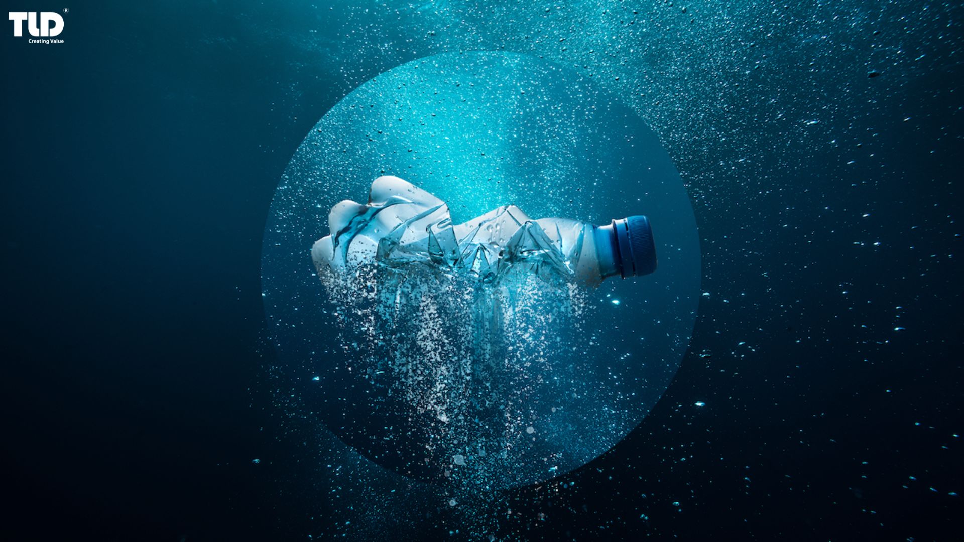 PS plastic may pose risks to ecosystems