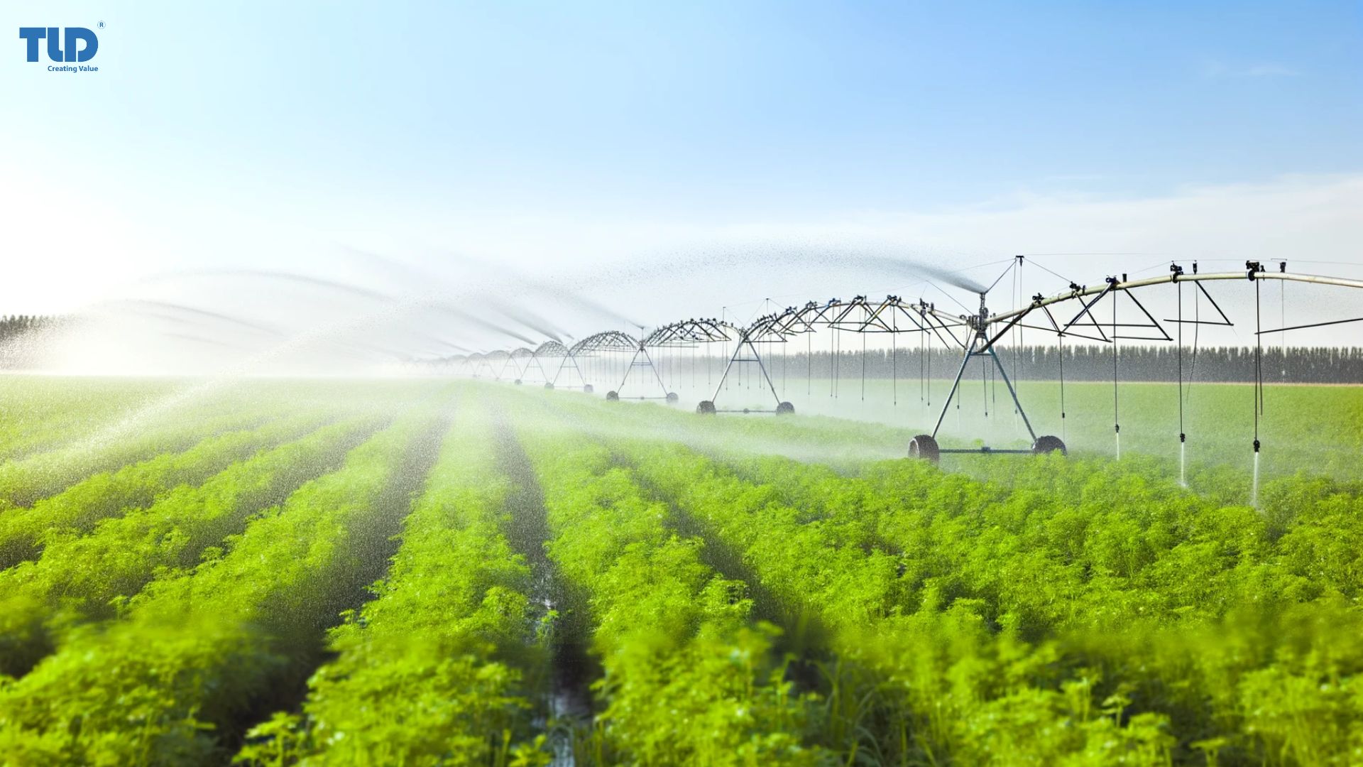 Benefits of Choosing The Right Irrigation Pipe