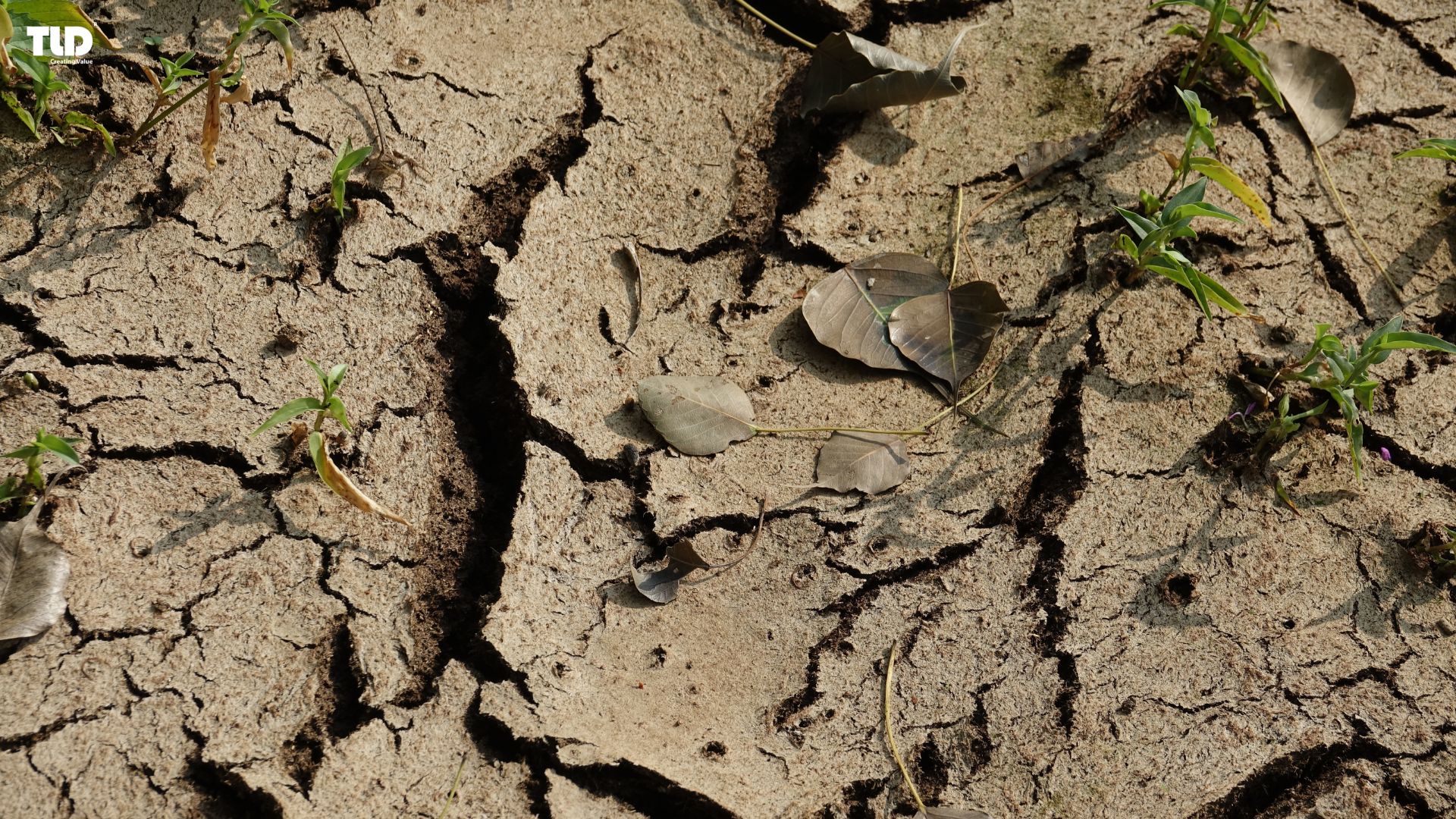 Improper lead disposal contaminates soil and water, threatening ecosystems and food safety